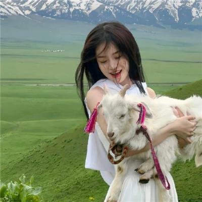 家族的旅途封面