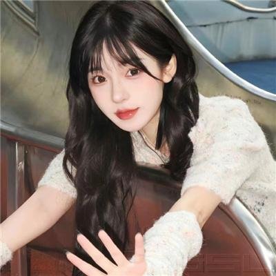 我的新野蛮女友封面